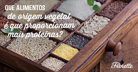 Que alimentos de origem vegetal é que proporcionam mais proteínas?